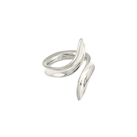 Concordiana Ring Silver