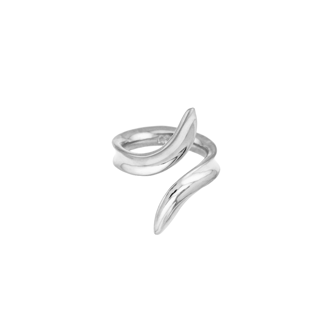 Concordiana Ring Silver